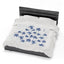 Plush Blanket - Loggerhead Turtles